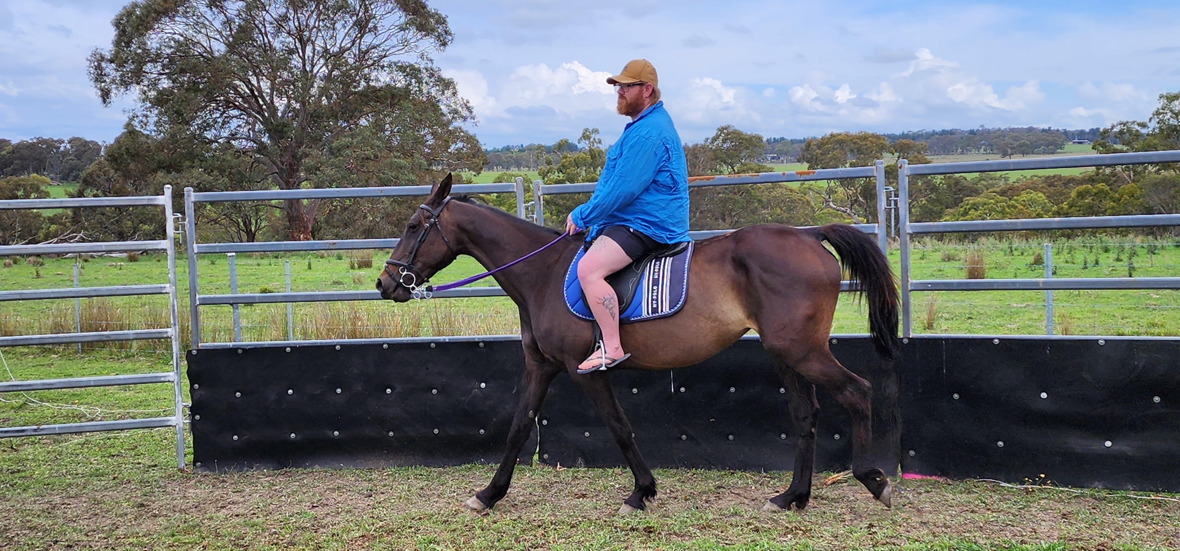 Stb mare  — photo 2 of 3