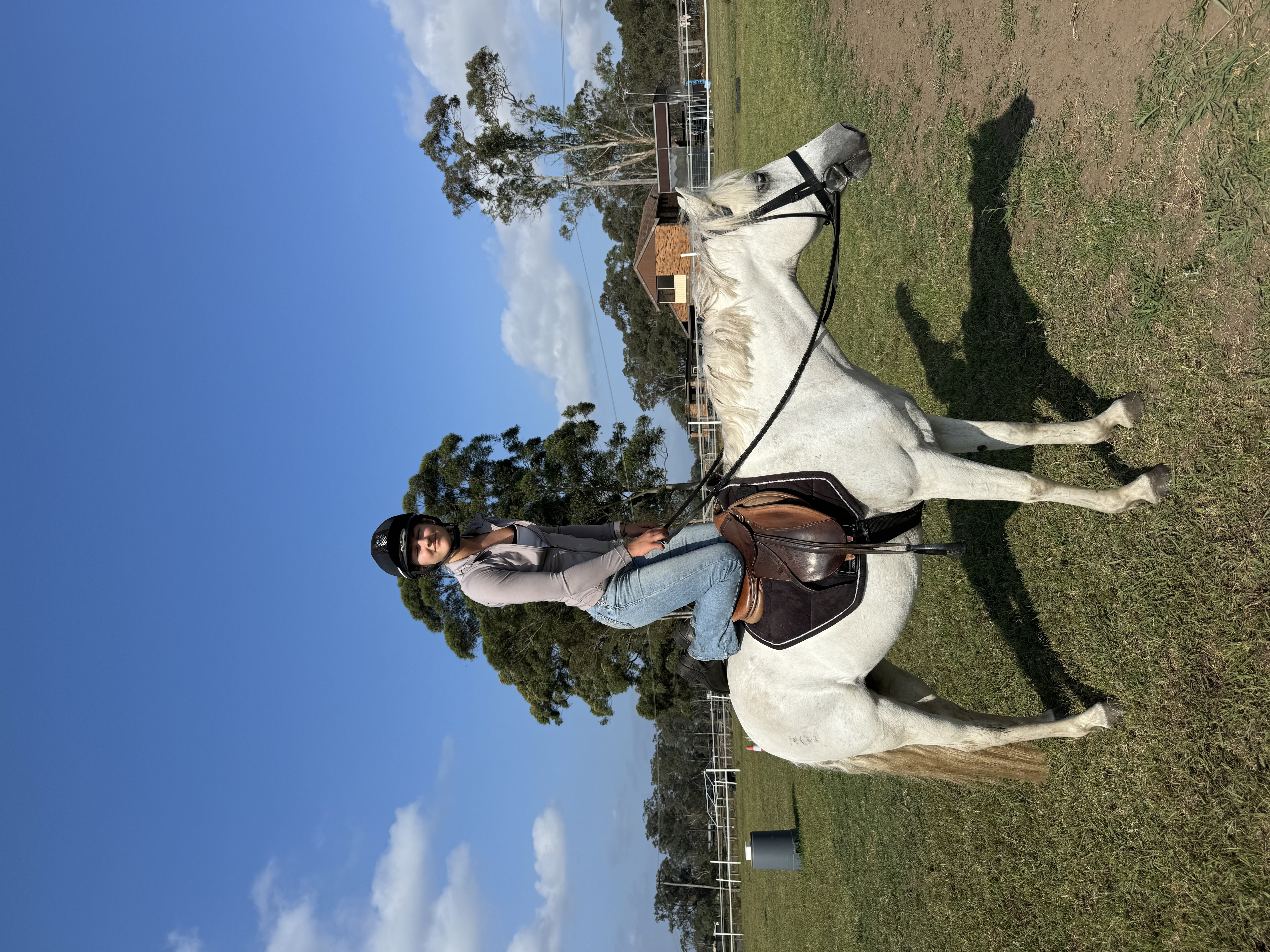 Bessie 13hh grey mare  — photo 3 of 3