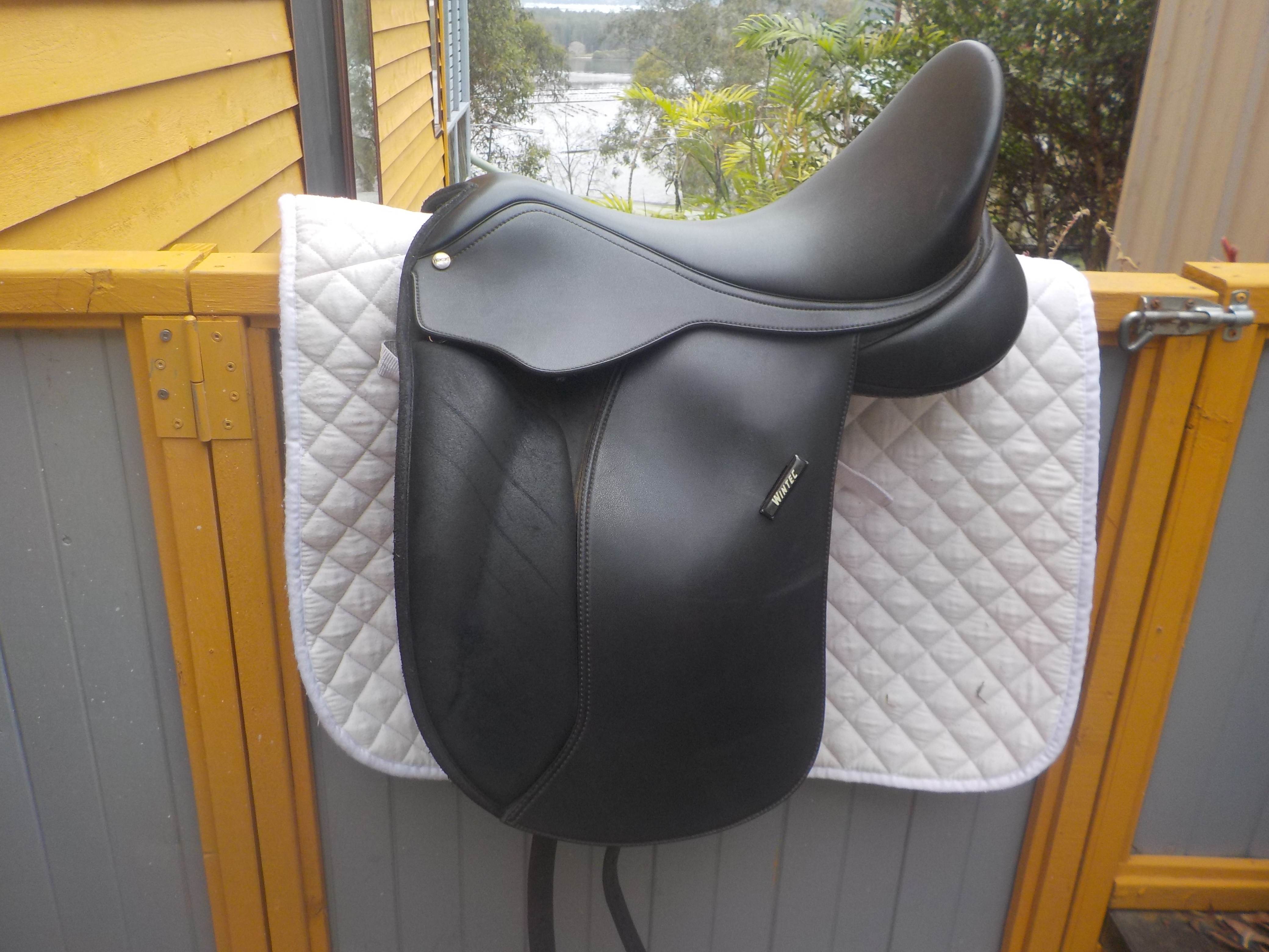 SADDLES FOR SALE