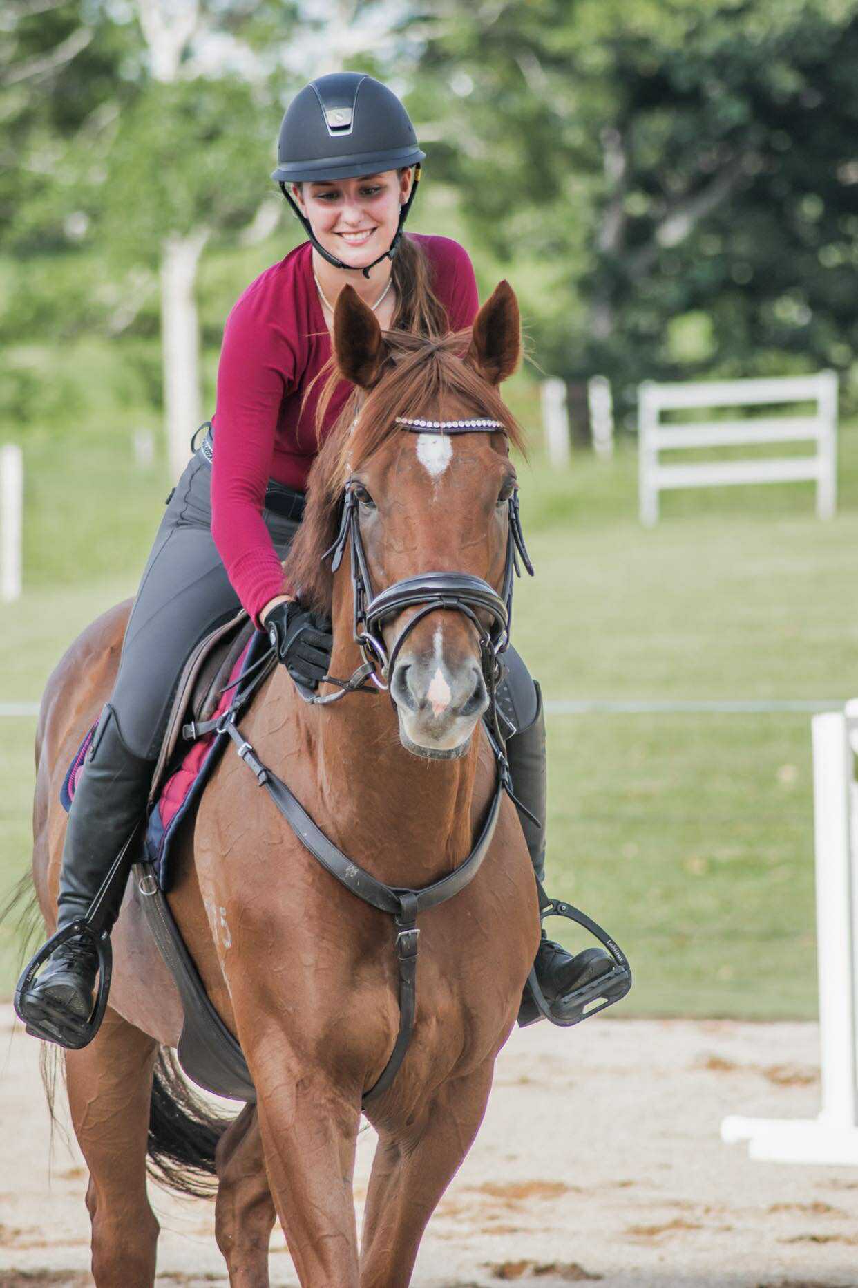 Flashy and Talented Gelding with Talent to Burn — photo 2 of 6