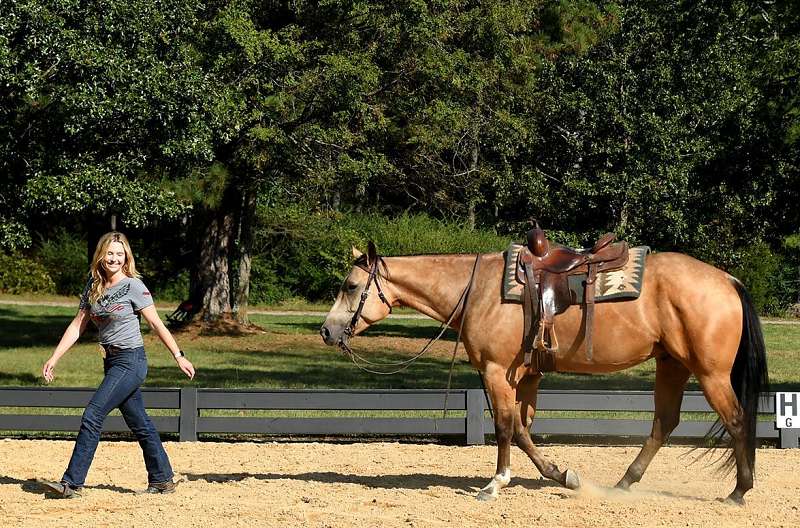 Dutton- Big, Beautiful and Buckskin! Trails or Arena Gentle for Any Rider. — photo 2 of 3