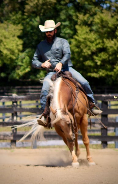 Gibbs 7 Years old 15.1hh Palomino AQHA Gelding — photo 3 of 5