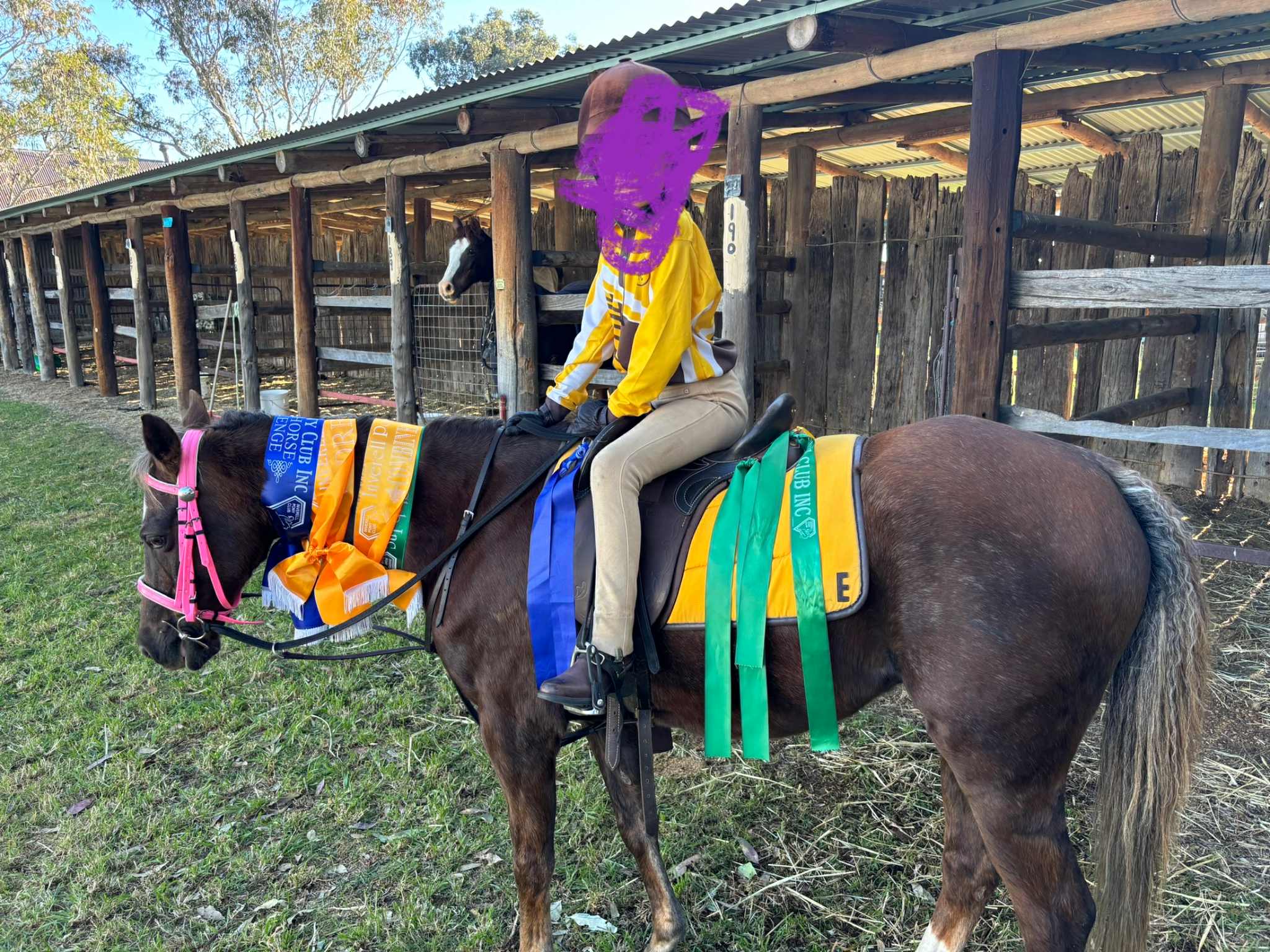 Pony Club Allrounder — photo 3 of 5
