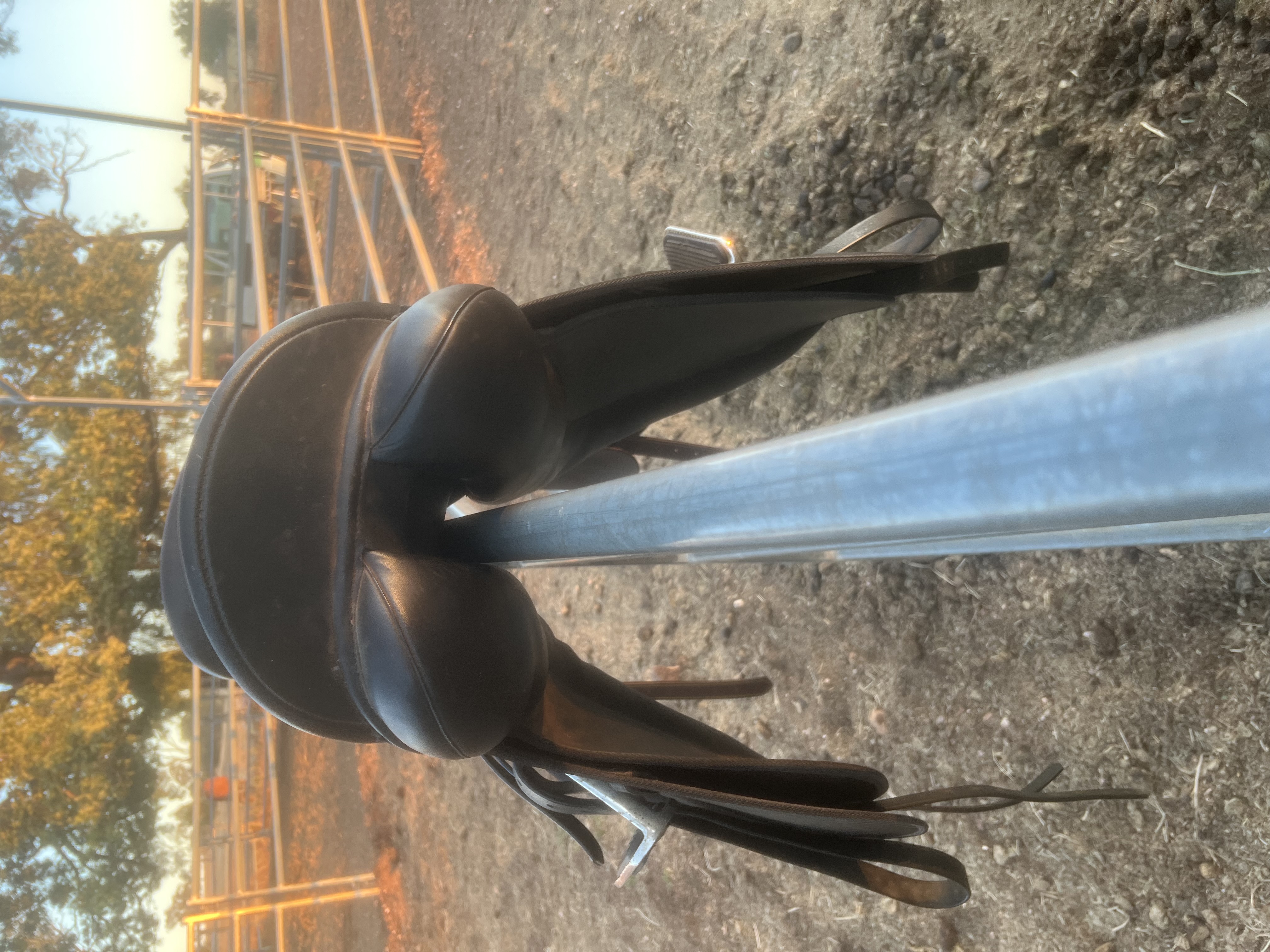 Eurohunter all purpose saddle