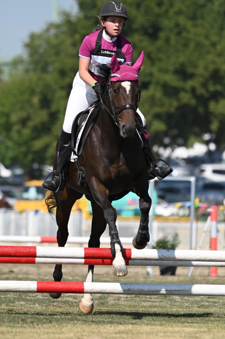Quality All-Rounder Mare – The Ultimate Confidence Builder — photo 2 of 5