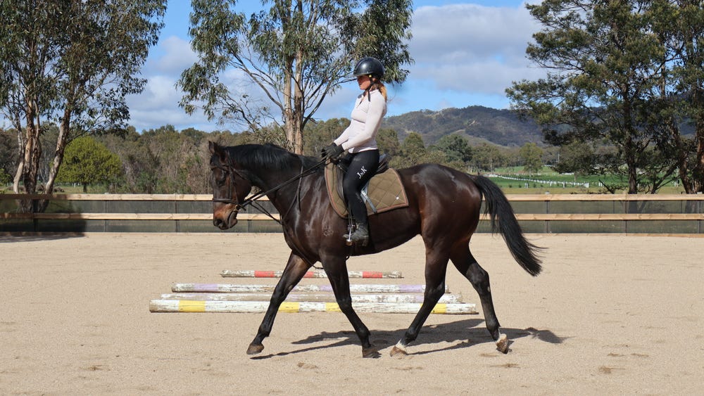 Lovely allrounder — photo 3 of 3