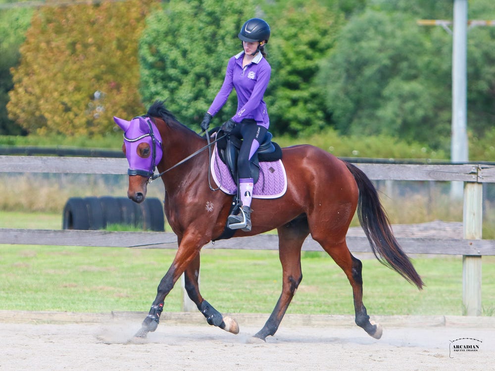 CRUMPET: EQUIMILLIONS PROJECT — photo 2 of 3