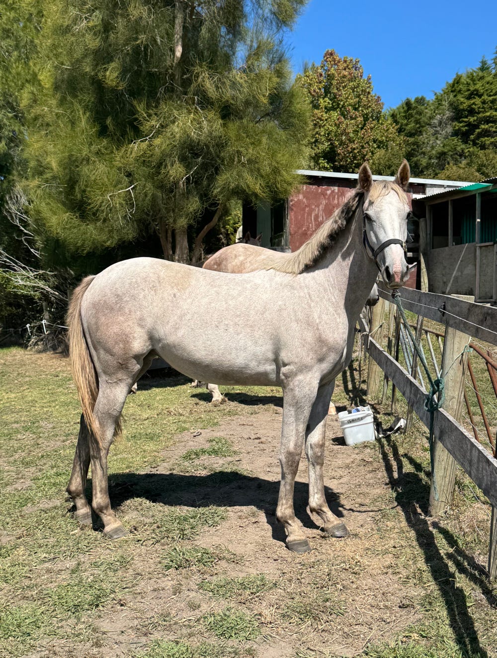 Purpose Bred Jumper — photo 2 of 5