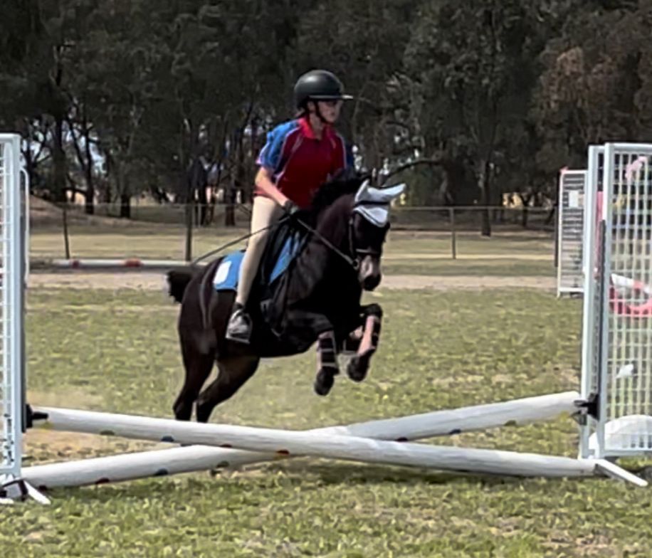 Ultimate Performance Pony — photo 3 of 5