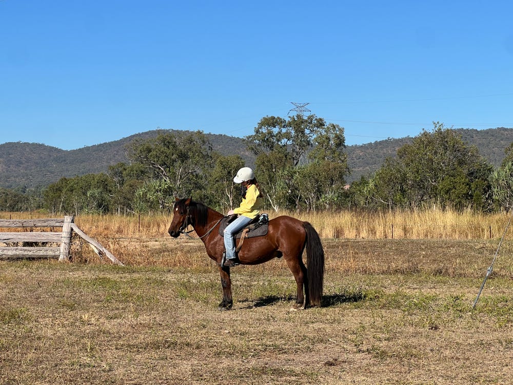 Brigalow “Briggy” — photo 3 of 3