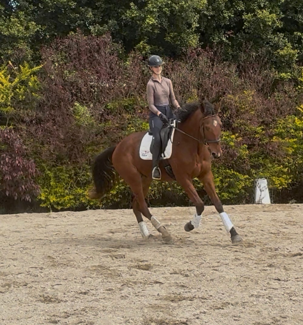 Mishani Hunter — photo 2 of 5