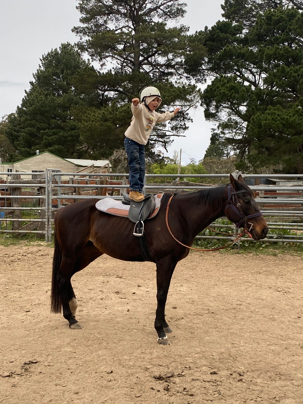 Confidence Builder — photo 2 of 3