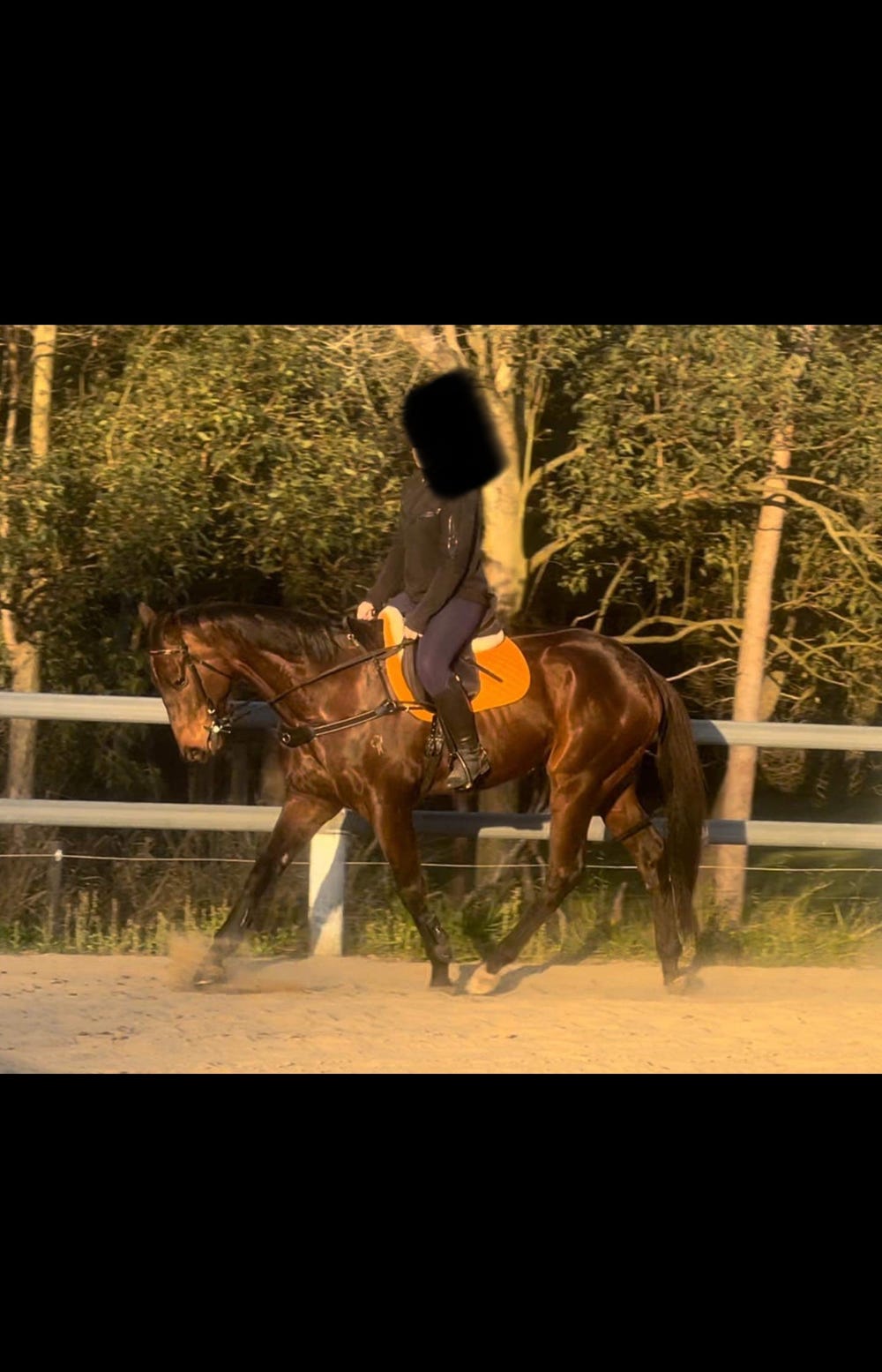 Young TB — photo 2 of 3