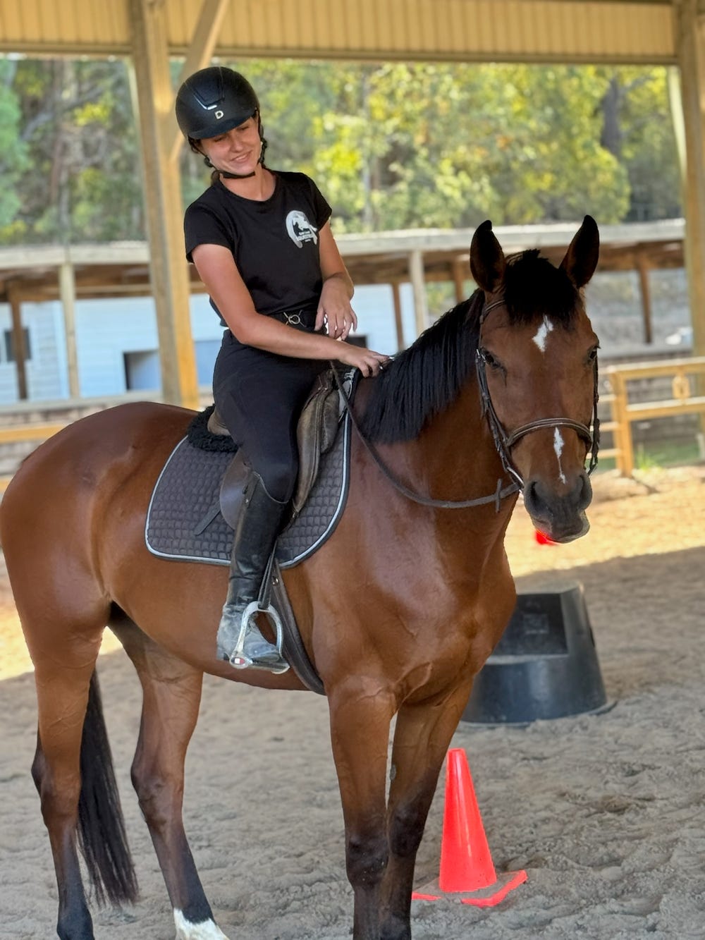 Cassie Belcam 9 yo Warmblood mare