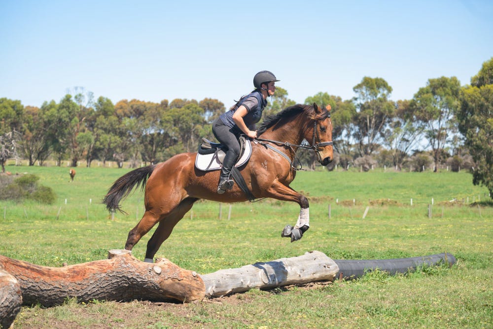 Sweet Allrounder — photo 2 of 2
