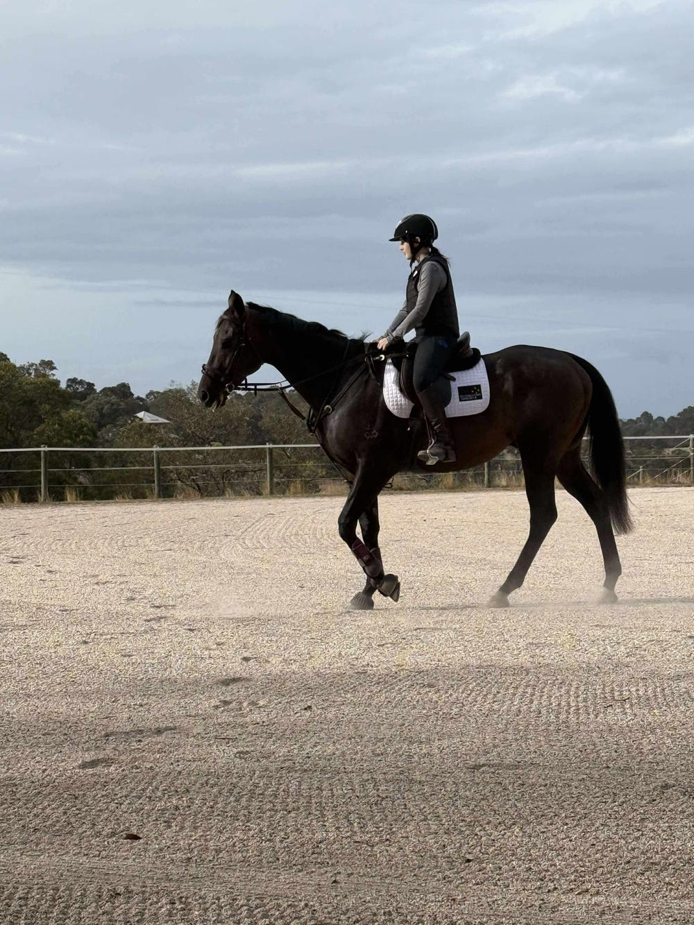 Lovely allrounder — photo 2 of 3