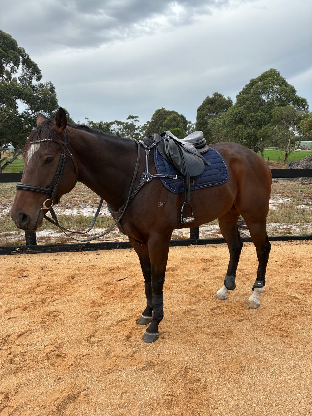 Kind OTT Allrounder — photo 2 of 4
