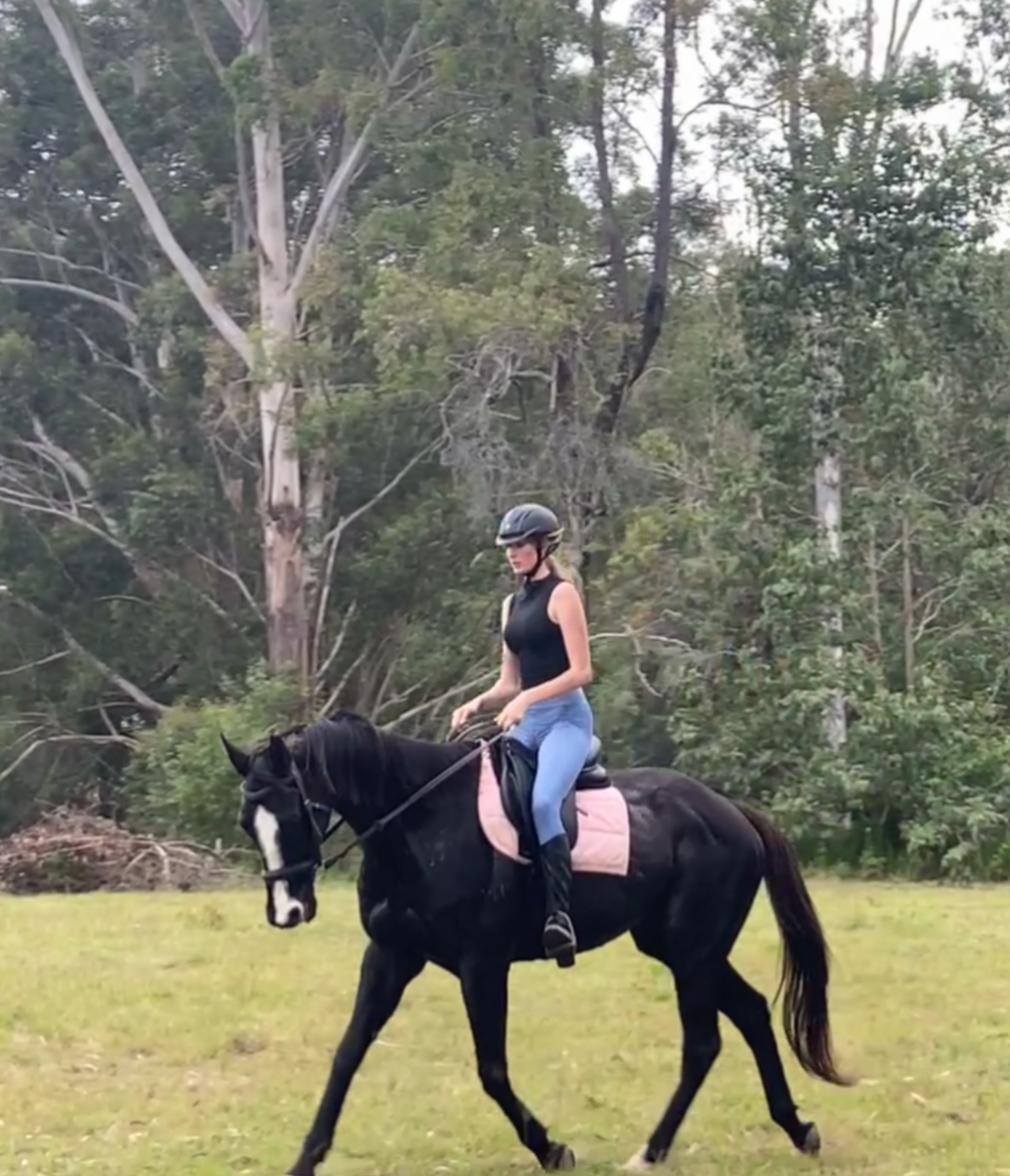 Allrounder OTTB — photo 2 of 3