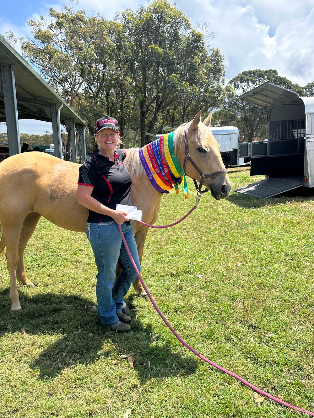 Quality Quiet Safe- Registered AQHA- Bilssmartsymphony — photo 3 of 5