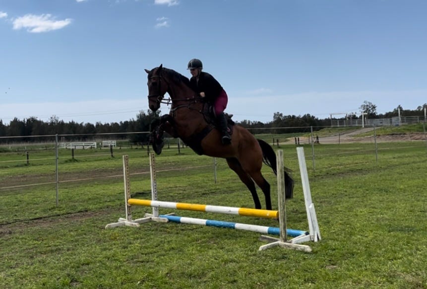 Talented And Quiet OTTB — photo 2 of 3