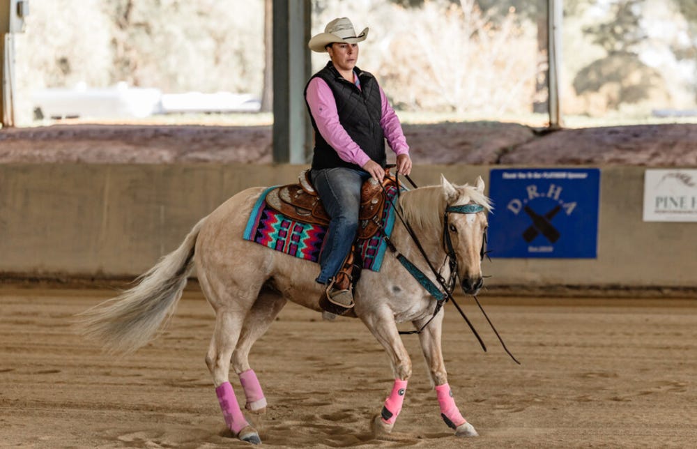 Jackd Up Whiz (Peppy) reg QH Mare