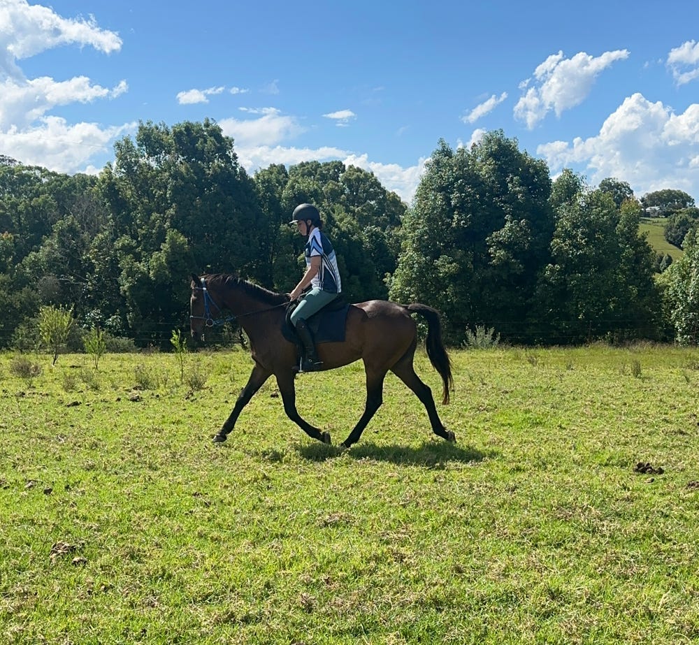 Quiet TB allrounder — photo 3 of 3