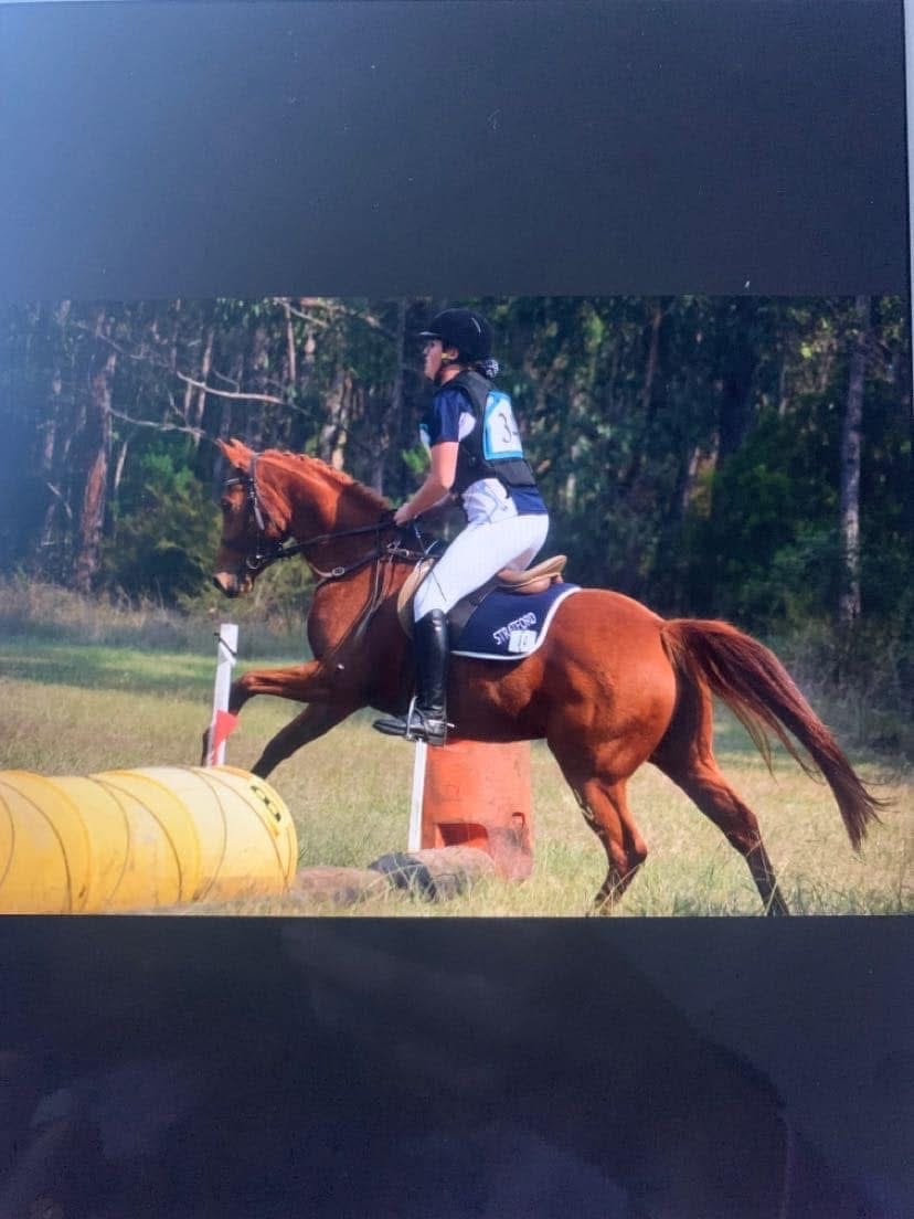 Parents Dream Allrounder — photo 3 of 5