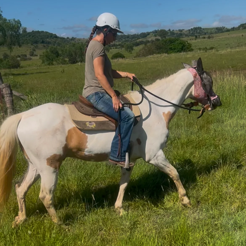 Palomino Paint Gelding — photo 2 of 5