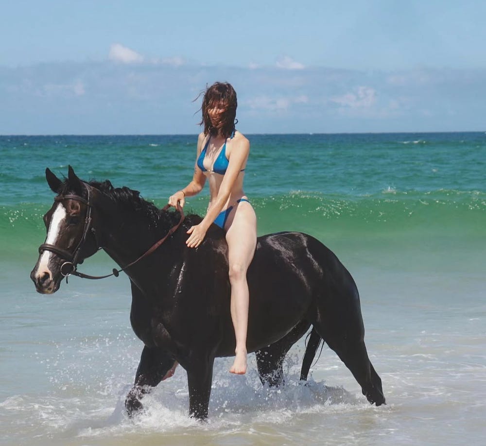 Allrounder OTTB — photo 3 of 3