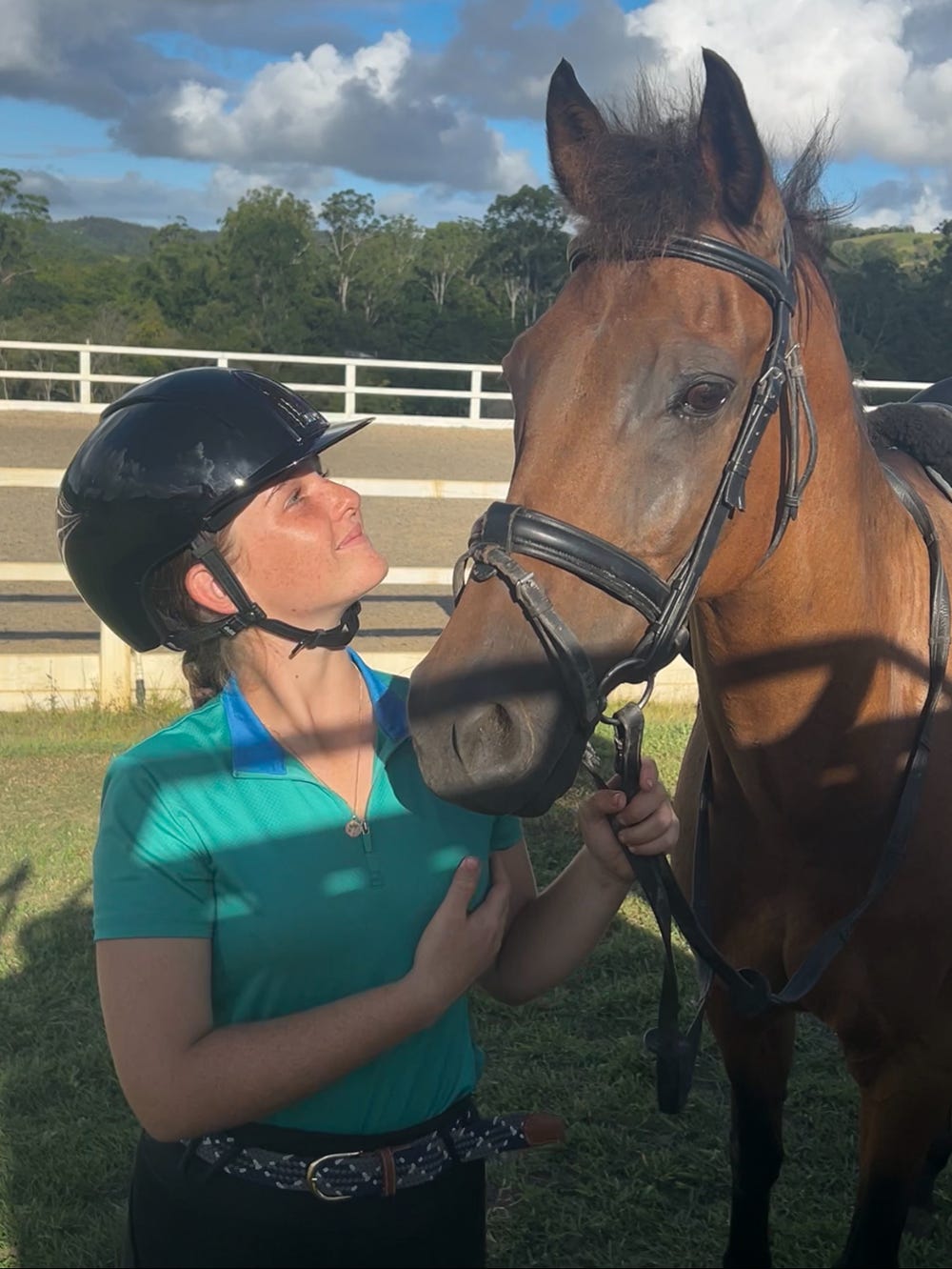 Beautiful Beginners Horse for Sale — photo 2 of 3