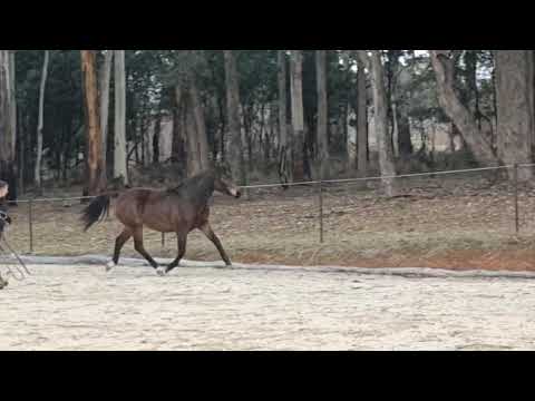Quiet and lovely movement! — photo 3 of 4