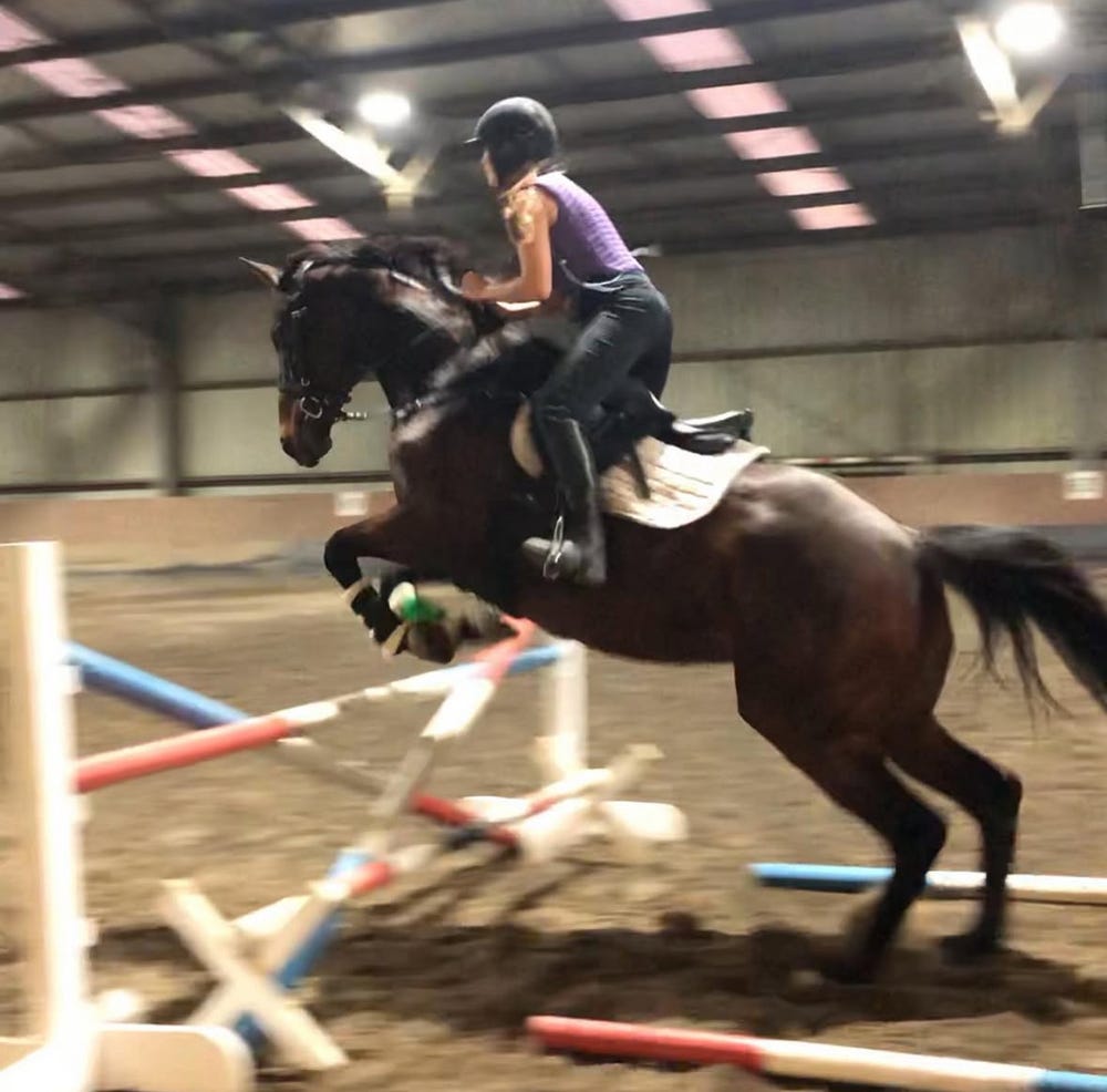 Quiet educated allrounder — photo 3 of 5