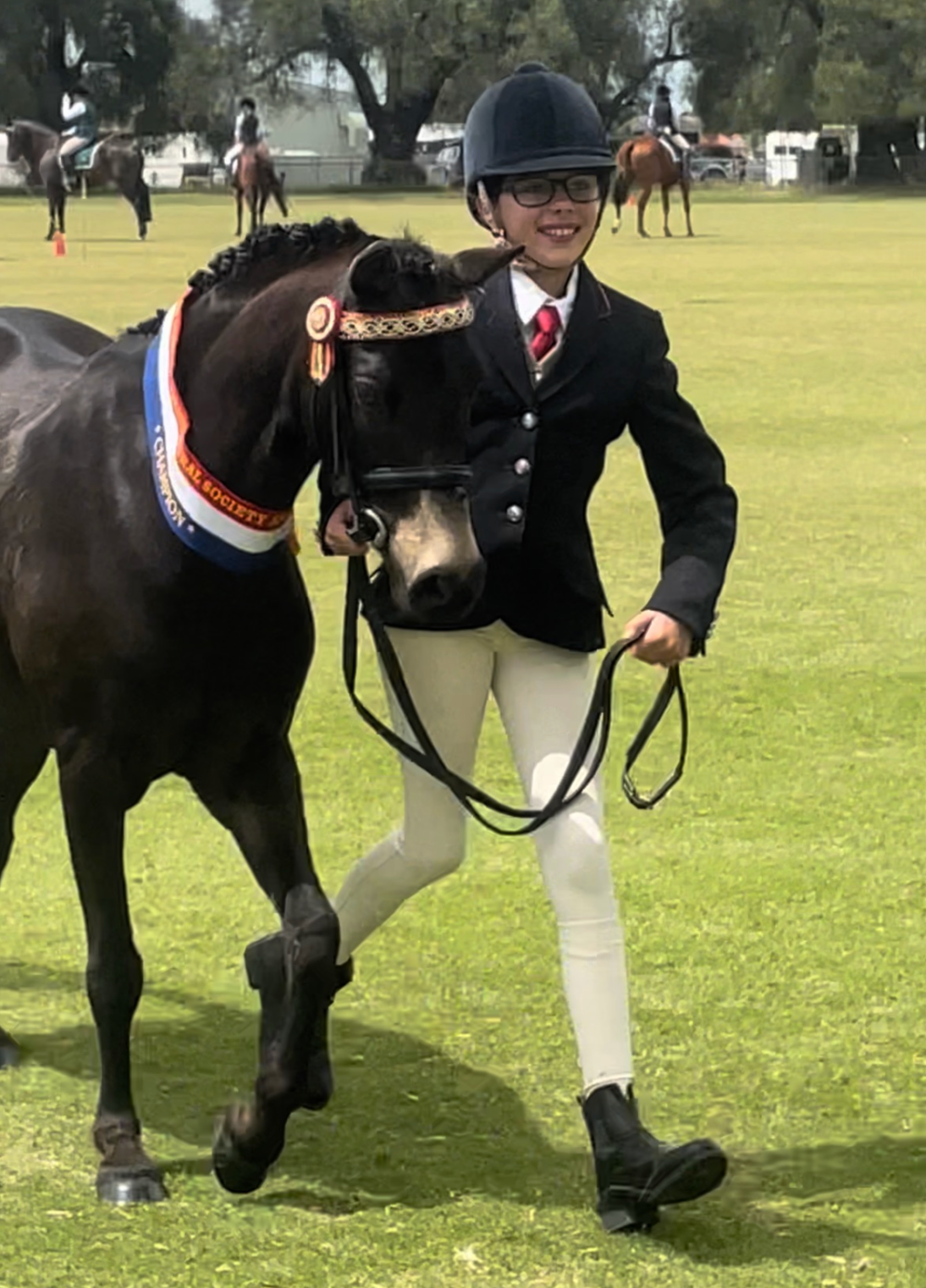 Ultimate Performance Pony — photo 2 of 5