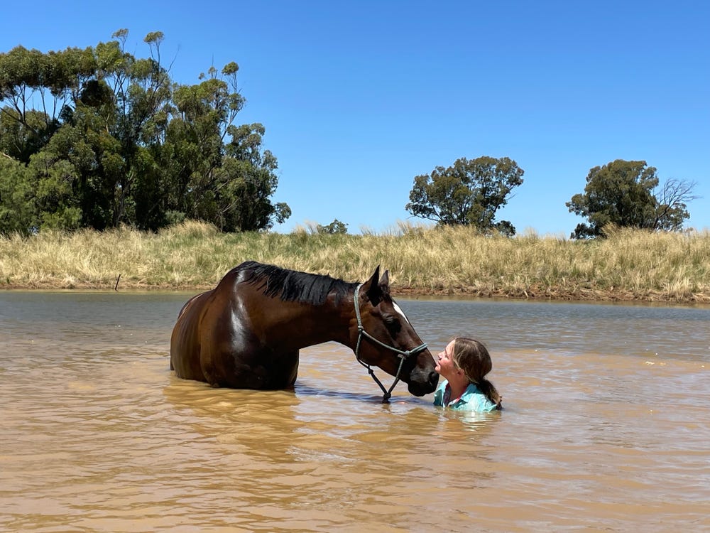 Quality All-Rounder Mare – The Ultimate Confidence Builder — photo 3 of 5
