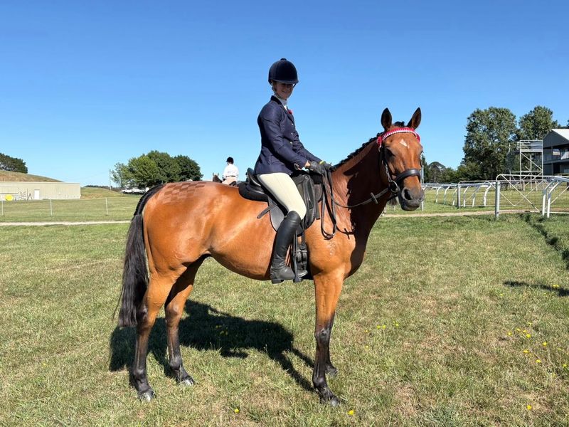 Compact TB allrounder — photo 2 of 10
