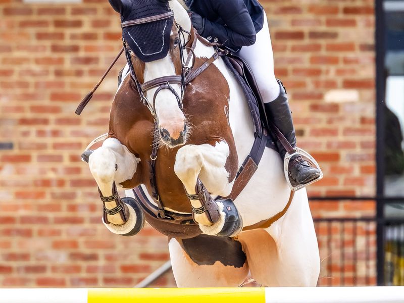 Complete Weapon Show jumper — photo 3 of 8