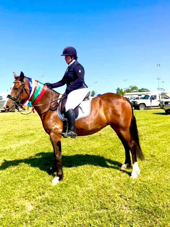 Beautiful waler mare — photo 3 of 4