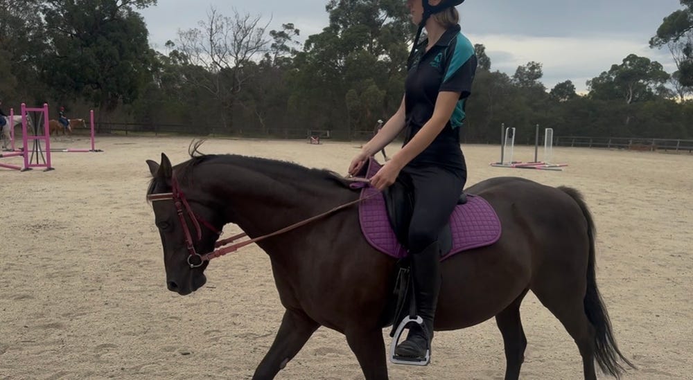 Pony Club Allrounder — photo 2 of 5