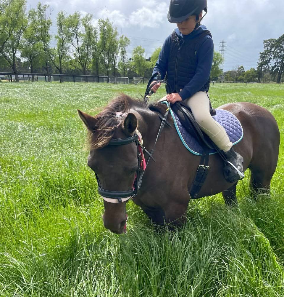 Pony Club Allrounder — photo 3 of 5