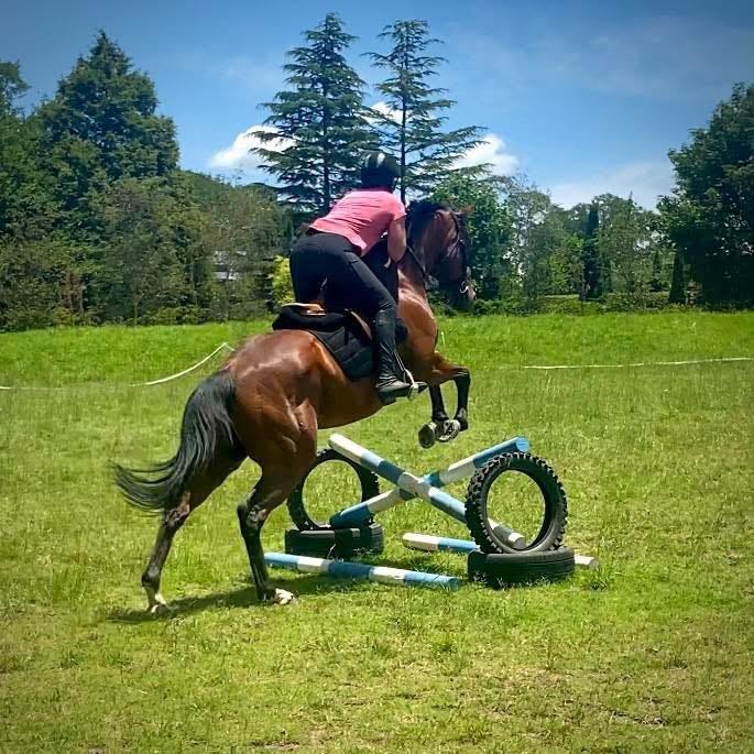 Eventing Potential — photo 2 of 5