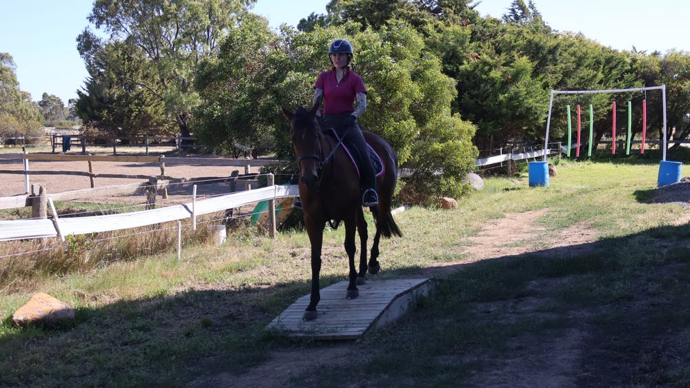 Sweet Mare — photo 2 of 3