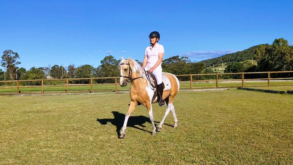 Dreamy palomino tobiano mare — photo 3 of 5