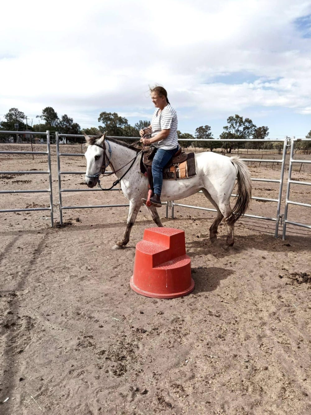 Appaloosa Mare — photo 2 of 3