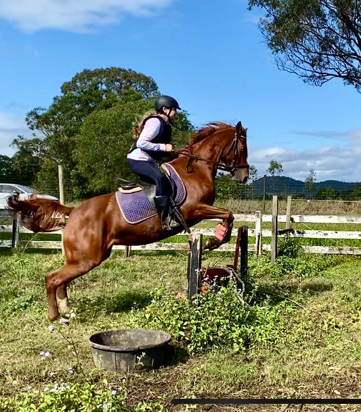 QH x Arab Mare — photo 2 of 2