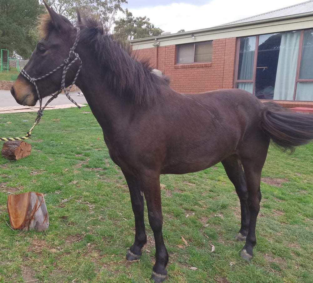 Picture