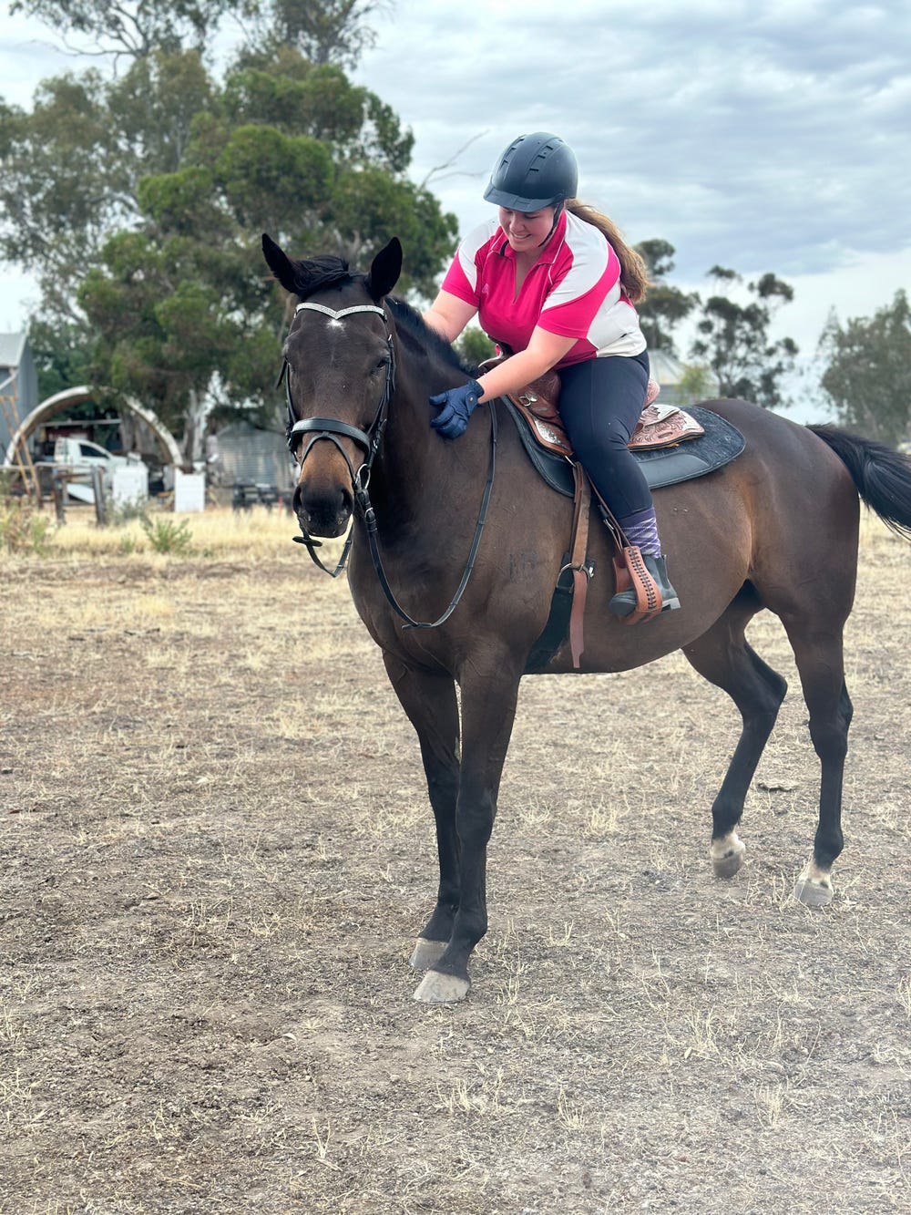 Sweetest TB Gelding — photo 2 of 4