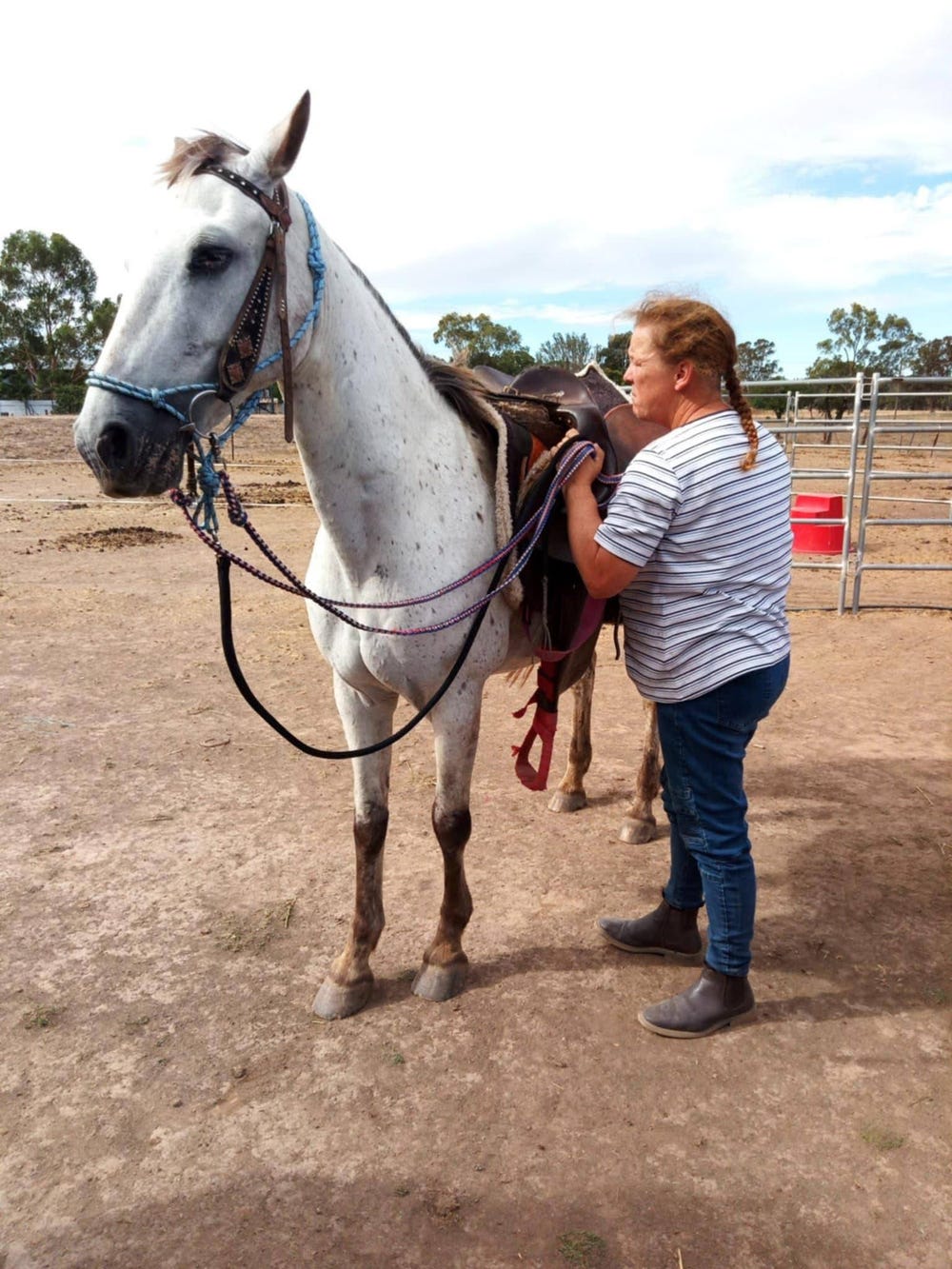 Appaloosa Mare — photo 3 of 3