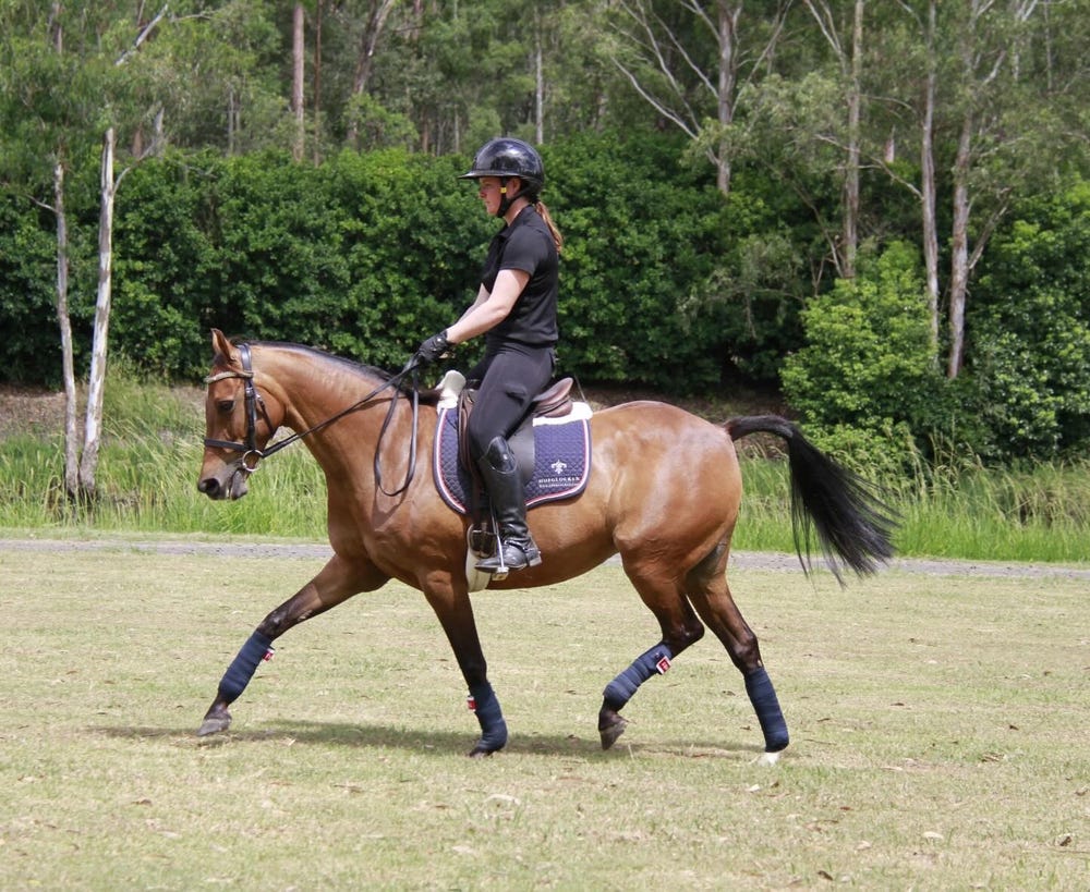 Show – Dressage – Showjumping – Pony Club – Fun All-Rounder — photo 3 of 5