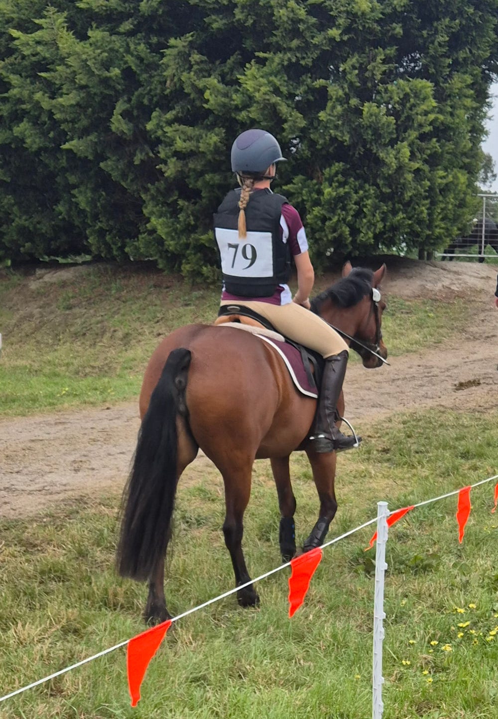 Mothers Dream Pony — Connemara (photo 4)