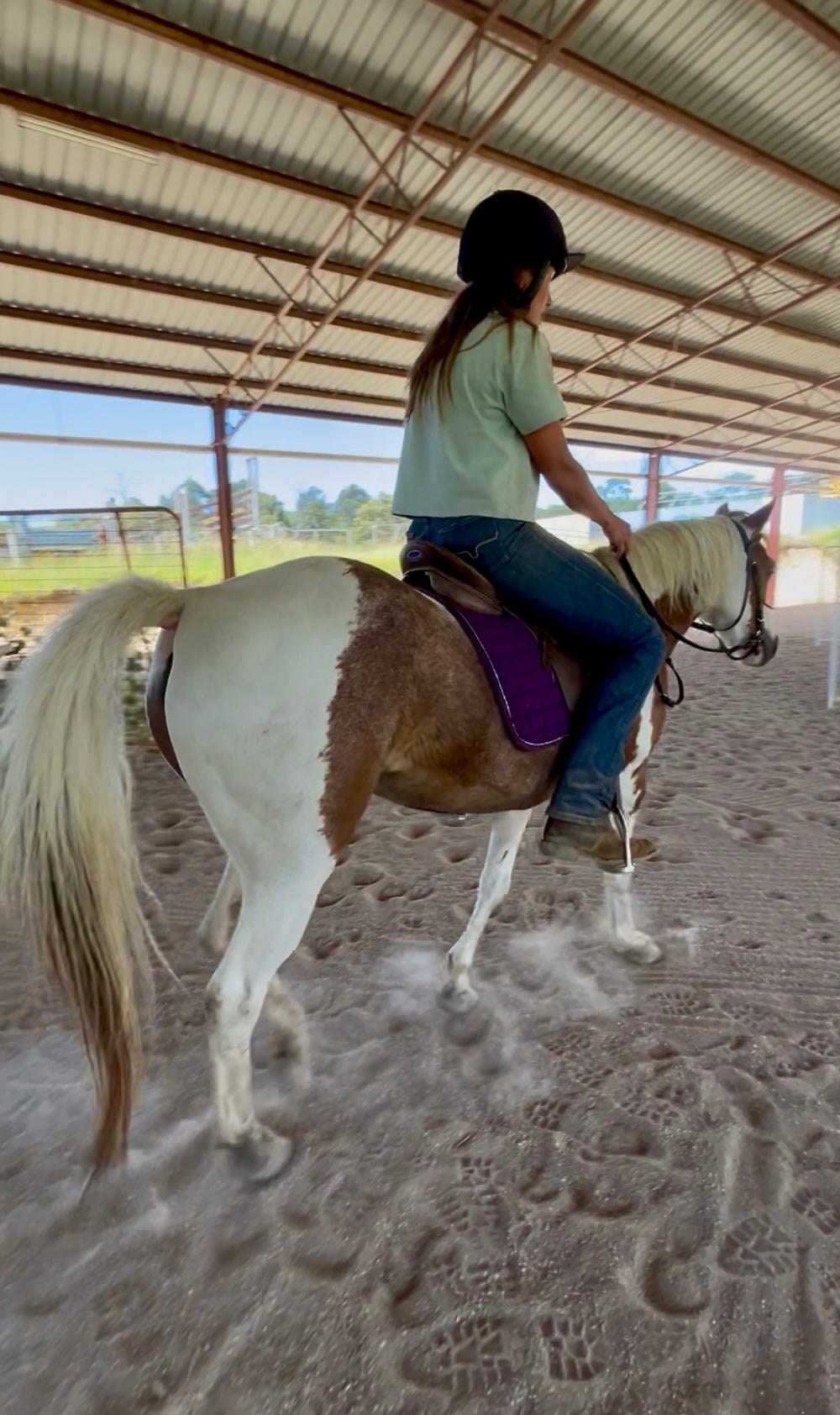 Super Quiet Leadline Pony — photo 2 of 3